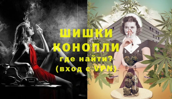 спиды Новодвинск