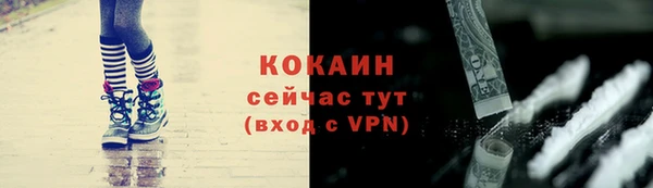 спиды Новодвинск